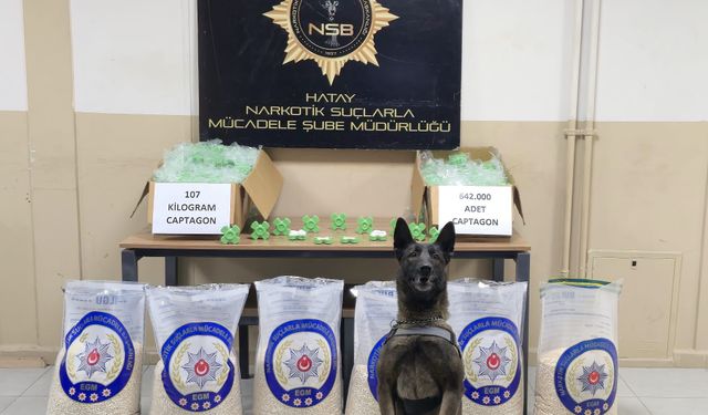 Hatay'da depoda 642 bin uyuşturucu hap ele geçirildi