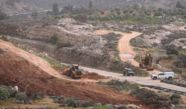 İsrail Batı Şeria'da zeytin ağaçlarıyla birlikte Filistinlilerin kültürel hafızasını da yok ediyor