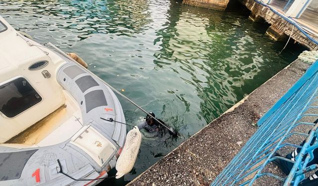 İzmir'de vapur iskelesinin altında mahsur kalan kediyi itfaiye ekipleri kurtardı