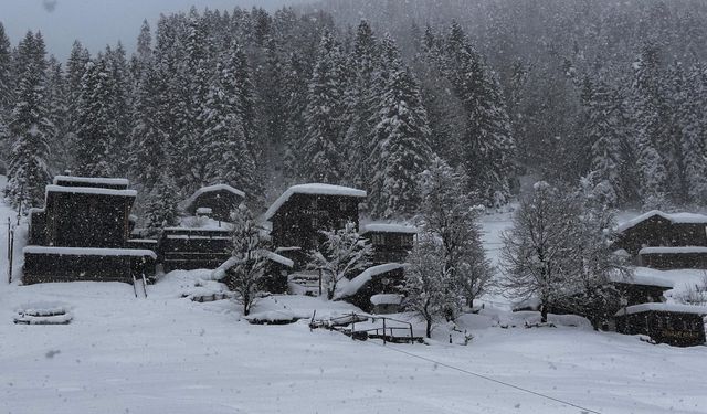 Karadeniz'de 670 yerleşim yerine ulaşım sağlanamıyor