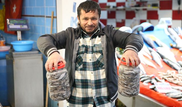 Karadeniz'de hamsi salamurası zamanı