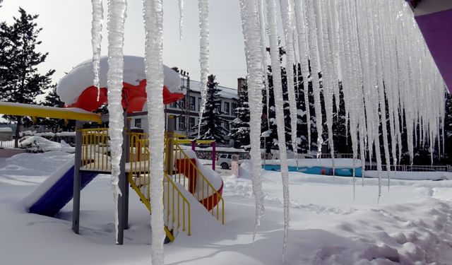 Kars ve Ardahan'da soğuk hava etkili oluyor