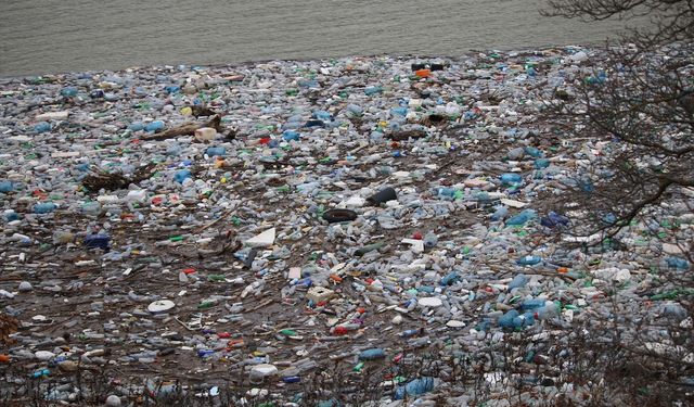 Kosova'da Badovc Baraj Gölü'nün yüzeyi çöp ve atıklarla kaplandı
