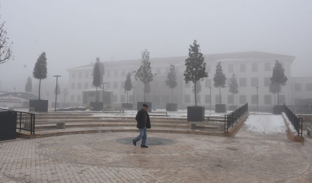 Malatya'da sis etkili oldu