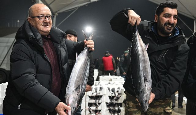 Marmara Denizi'nde torik bolluğu yaşanıyor