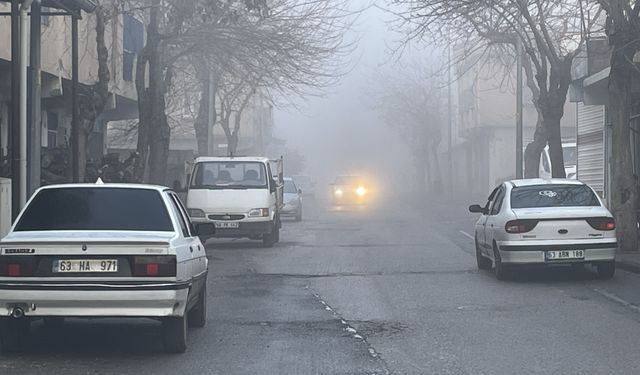 Şanlıurfa'da yoğun sis etkili oluyor