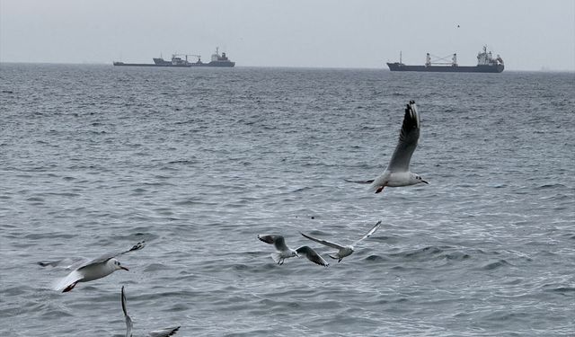 Tekirdağ'da lodos deniz ulaşımını olumsuz etkiliyor