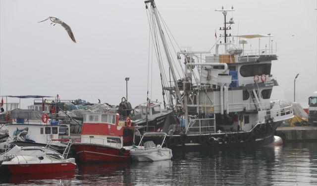 Tekirdağlı balıkçılar sis nedeniyle 2 gündür denize açılamıyor
