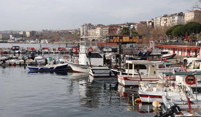 Tekirdağlı balıkçılar torik için denize açılıyor