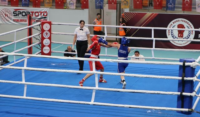 Türkiye Ferdi Boks Şampiyonası, Kocaeli'de sürüyor