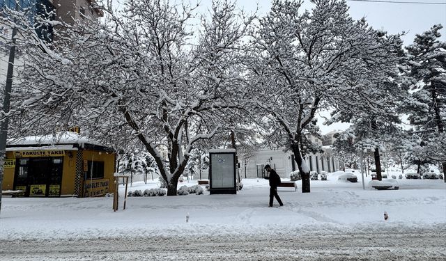 Van, Bitlis, Muş ve Hakkari'de 1030 yerleşim yerine ulaşım sağlanamıyor