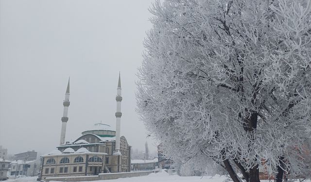 Van ve çevre illerde kar nedeniyle 25 yerleşim yerine ulaşılamıyor