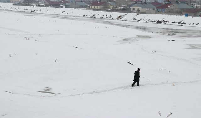 Ağrı'da nehir ve dereler buzla kaplandı
