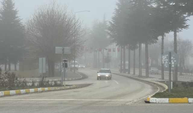 Amasya'da sis etkili oldu