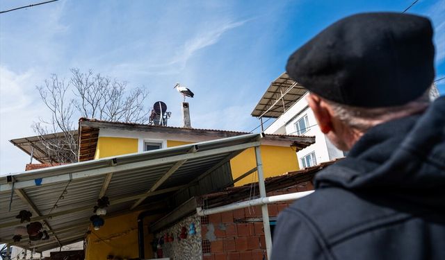 Avrupa Leylek Köyleri Birliği üyesi Eskikaraağaç'a yılın ilk misafiri geldi