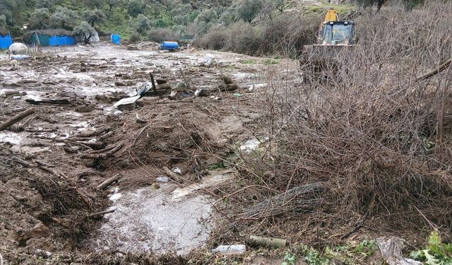 Aydın'da sel ve toprak kayması nedeniyle 44 küçükbaş telef oldu