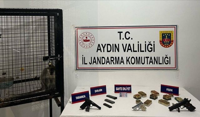 Aydın'da silah kaçakçılığı operasyonunda gözaltına alınan şüpheli tutuklandı