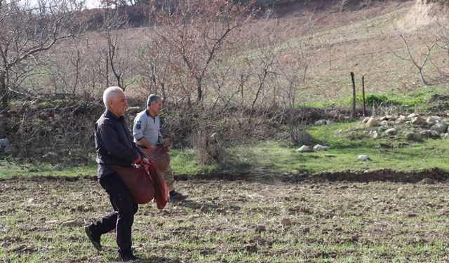Batmanlı çiftçiler engebeli tarlalarda 'imece usulü' elle gübreleme yapıyor