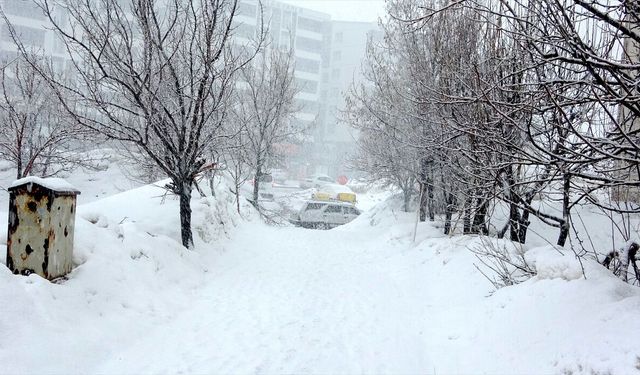 Bitlis'te kar etkili oldu