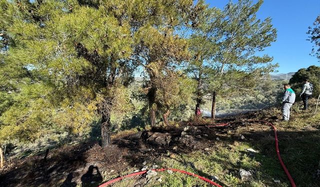 Bodrum'da ağaçlık alan yakınında çıkan yangın söndürüldü
