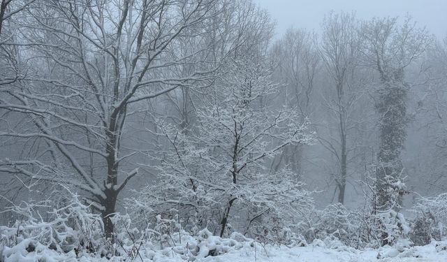 Çanakkale'nin yüksek kesimlerinde kar etkili oldu