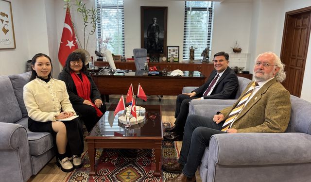 Çinli sanatçıların 'Çin At Yılı' temalı resimleri Fethiye'de sergileniyor