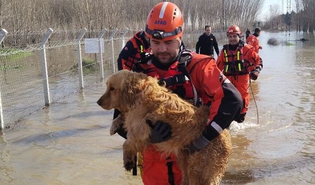 Edirne'de AFAD koordinesinde 101 arama kurtarma personeli taşkın sahasında görev alıyor