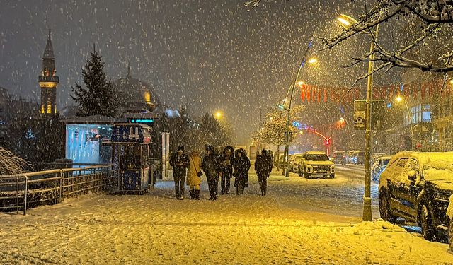 Erzurum'da kar yağışı etkili oluyor