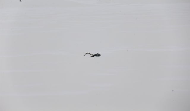 Erzurum'da soğuk havanın etkisiyle Köyceğiz Göleti'nin yüzeyi buz tuttu