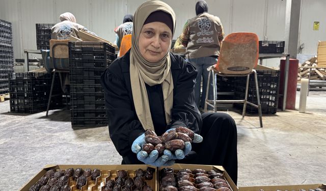 Filistinli yetkililer İsrail hurmalarının Filistin etiketiyle pazarlandığı uyarısında bulundu