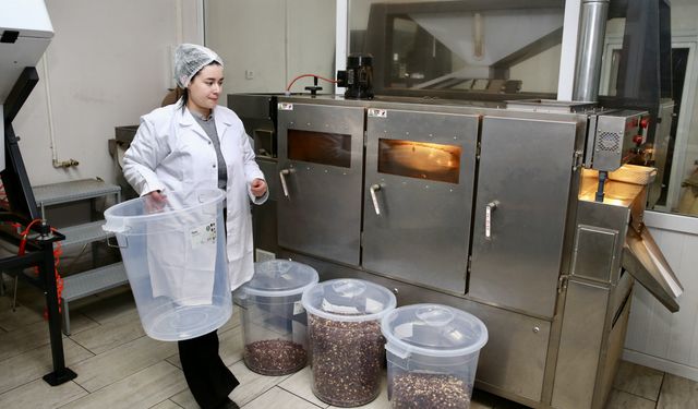 Fındık işleme tesisi için devlet desteği alan kadın, kendi işinin patronu oldu