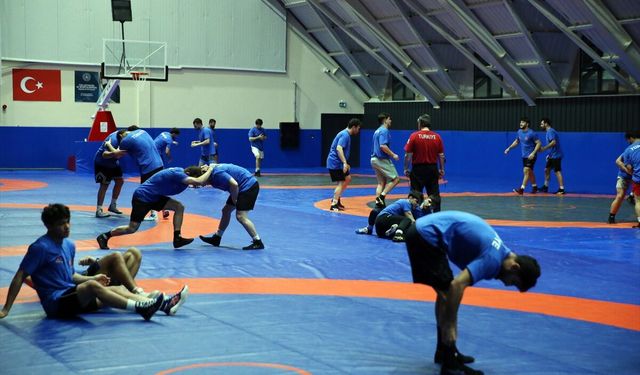Güreş milli takımları, hazırlıklarını Avrupa şampiyonası ve olimpiyat hedefiyle sürdürüyor