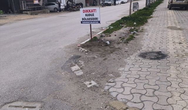 Hatay'da 4 mahalle kuduz nedeniyle karantinaya alındı