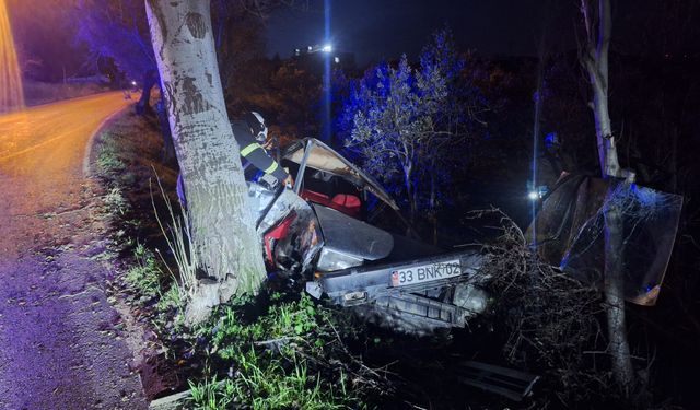 Hatay'da ağaca çarpan otomobilin sürücüsü yaralandı