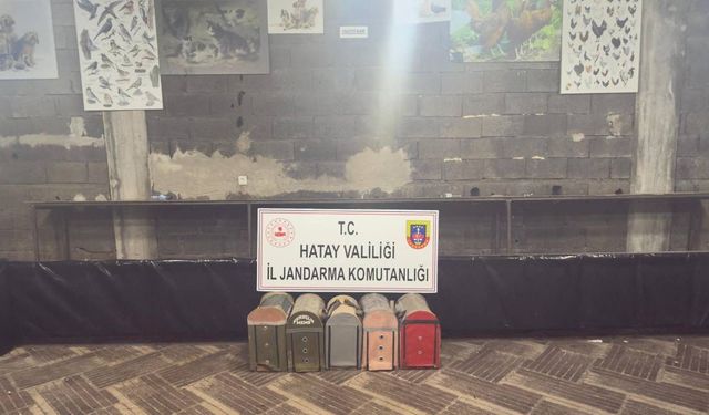 Hatay'da horoz dövüştüren 76 kişiye 990 bin 432 lira ceza kesildi