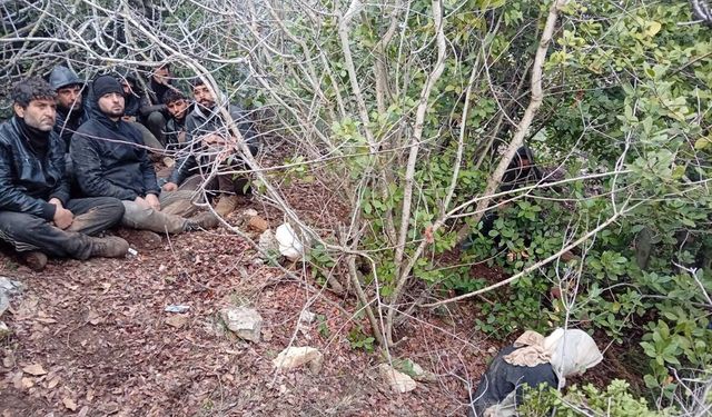 Hatay'da yurda yasa dışı yollarla girmeye çalışan 30 yabancı uyruklu yakalandı