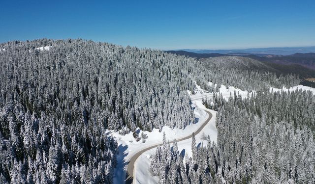 Ilgaz Dağı'nda kar yağışının ardından beyaza bürünen ormanlar dronla görüntülendi