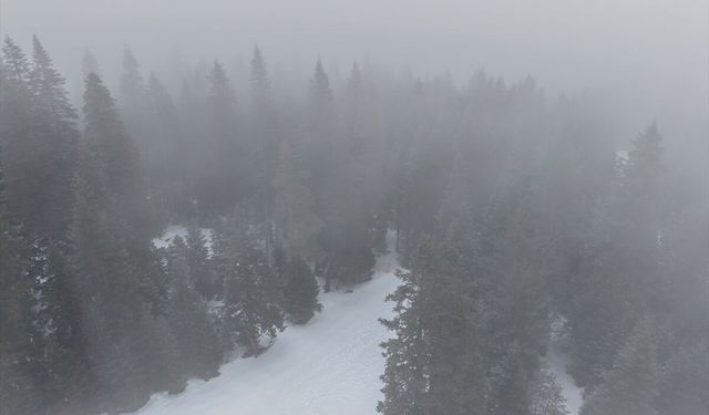 Ilgaz Dağı'nda yoğun sis ve kar yağışı etkili oluyor