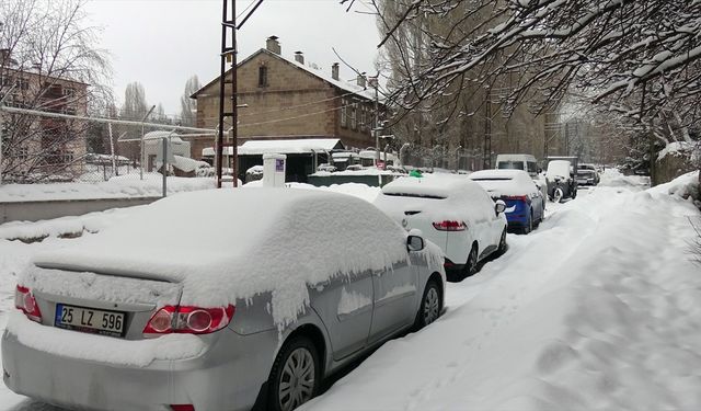 Kars, Ardahan, Tunceli ve Erzurum'da kar yağışı etkili oldu