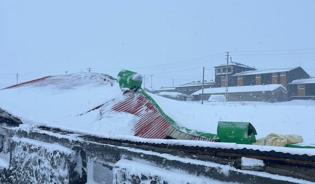 Kars'ta biriken kar nedeniyle çöken iki ahırdaki 4 büyükbaş hayvan telef oldu
