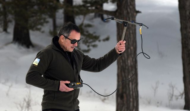 Kars'ta uydu vericisi takılan kurtların kardaki izleri inceleniyor