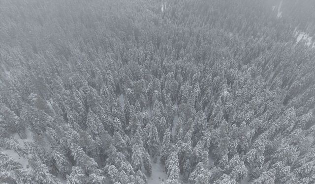 Kastamonu'nun yüksek kesimlerinde kar yağışı etkili oldu