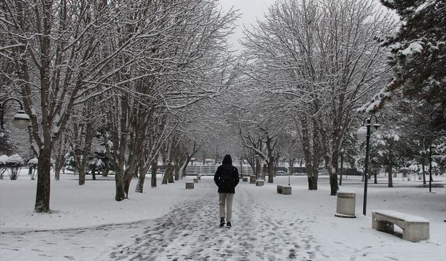 Kayseri'de kar etkili oluyor