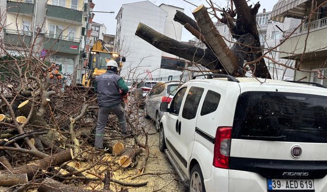 Kırklareli'nde fırtınada üzerine ağaç devrilen otomobil hasar gördü