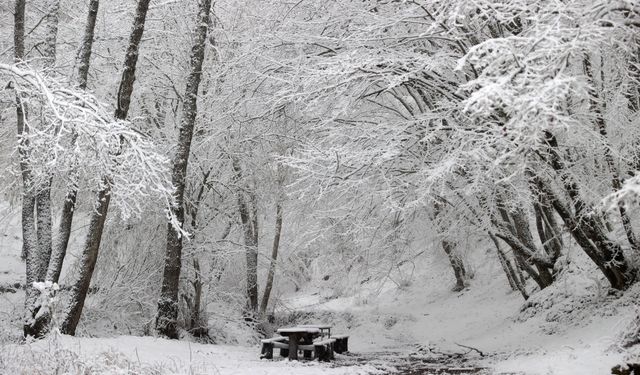 Kırklareli'nin yüksek kesimlerinde kar etkili oluyor
