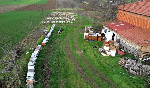 'Köyde bir kovanın olsun' projesiyle 50 kovan sahiplendirdi