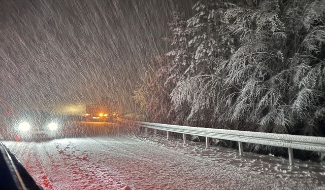 Kütahya'nın Domaniç ilçesinde yoğun kar yağışı etkili oluyor