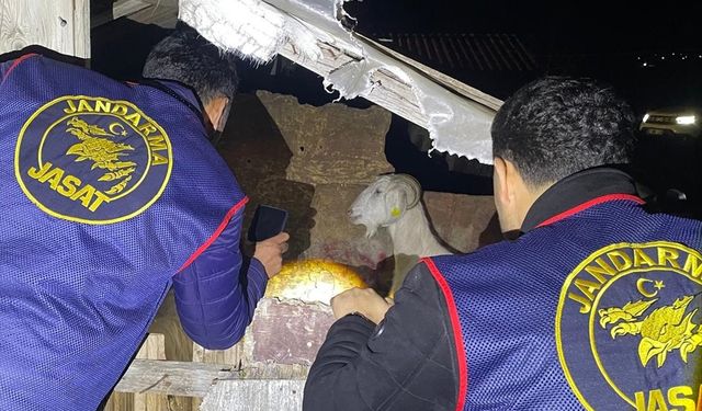 Manavgat'ta küçükbaş hayvan çaldıkları iddiasıyla 4 şüpheli yakalandı