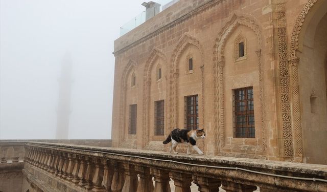 Mardin'de sis etkili oldu