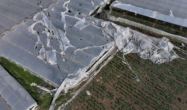 Mersin'de şiddetli rüzgardan zarar gören seralarda hasar tespit çalışması başlatıldı